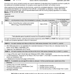 Low Income Senior Exemption Application
